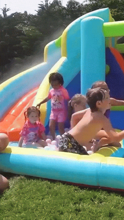 Doctor Dolphin Jumping Castle and Water Slides (Model 73003)